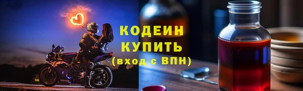 шишки Лагань