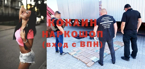 прущие грибы Покачи