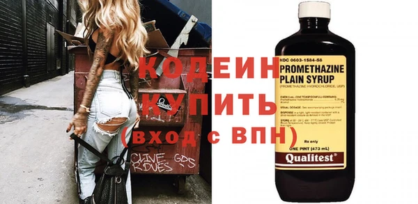 шишки Лагань
