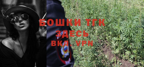 шишки Лагань